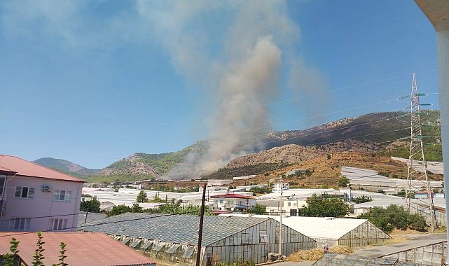Mersin'de orman yangını