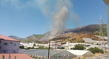 Mersin'de orman yangını