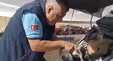 Minibüsün motoruna sıkışan yavru kedi kurtarıldı