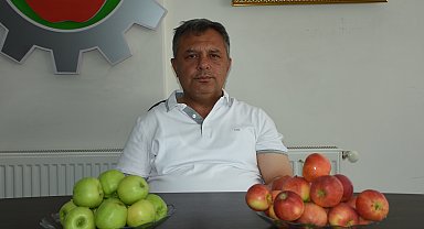 Niğde elması 12 ülkeye ihraç ediliyor