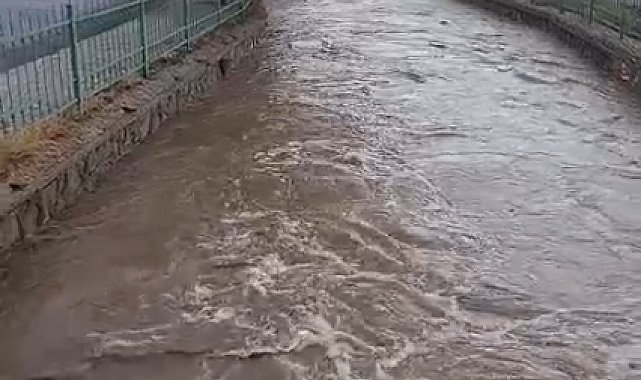 Niğde'de sağanak sele neden oldu; tarım arazileri zarar gördü