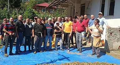 Ölen kız kardeşlerin bahçesindeki fındığın hasadını imece usulü mahalleli yaptı