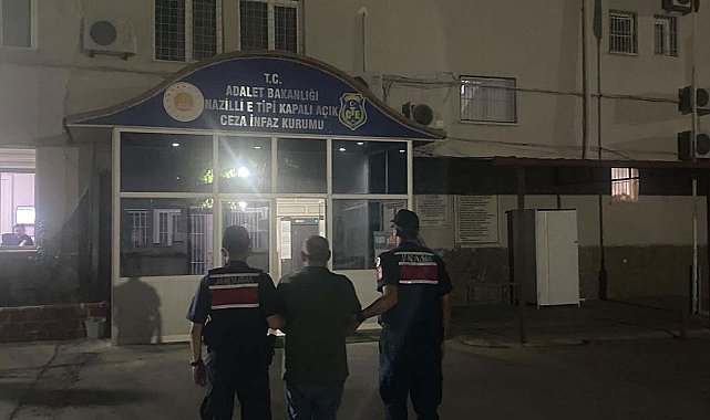 Ormanda kenevir yetiştirirken suçüstü yakalandı