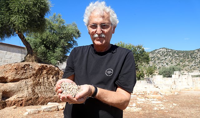 Parası olanın bile kullanamadığı renk; antik dünyada gücün ve statünün simgesi mor