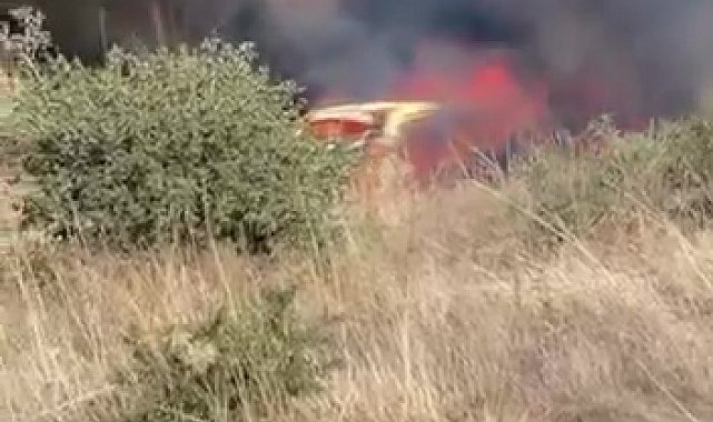 Park halindeki otomobilden çıkan yangın otluk alana sıçradı