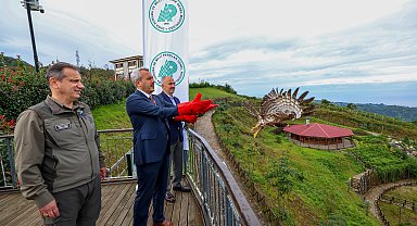 Rize'de tedavisi tamamlanan arı şahinleri çip takılarak doğaya salındı