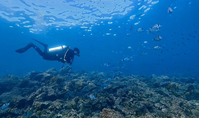 Saros Körfezi'nde su altı sezonu sona erdi; 25 bin dalış gerçekleştirildi