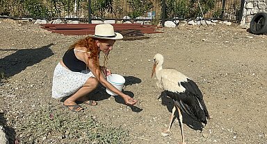 Sitenin bahçesine konan leyleğe sahip çıkıp, balık ve etle besliyorlar