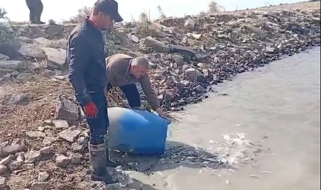 Sulama kanallarında mahsur kalan binlerce balık göletlere taşındı