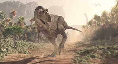 T-rex ile insanın ortak özelliği keşfedildi
