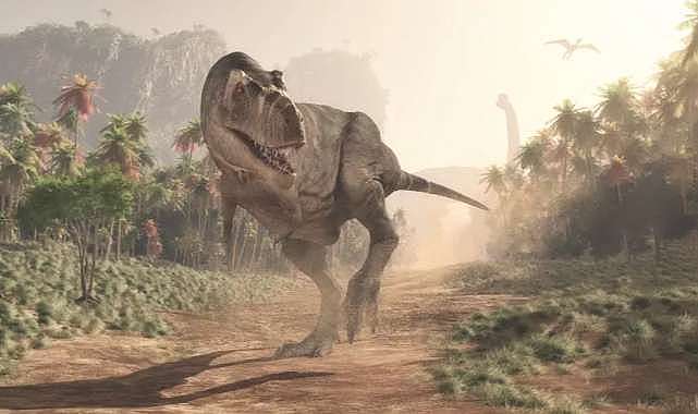 T-rex ile insanın ortak özelliği keşfedildi