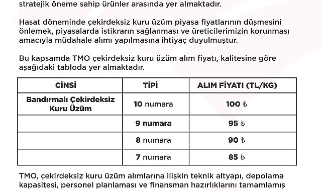 TMO'nun çekirdeksiz kuru üzüm alım fiyatı belirlendi