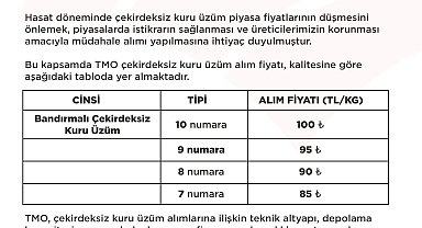 TMO'nun çekirdeksiz kuru üzüm alım fiyatı belirlendi