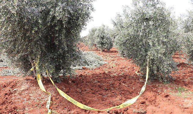 Traktörden düşen çiftçi öldü
