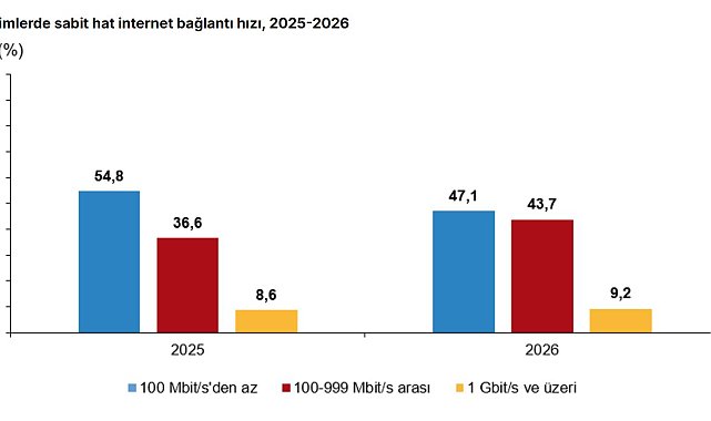 TÜİK: Girişimlerin yüzde 52,9'u 100 megabit ve üzeri hızda internet kullandı
