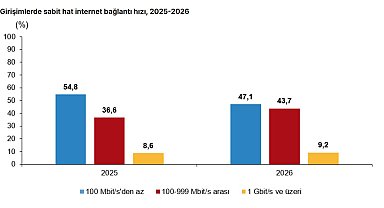 TÜİK: Girişimlerin yüzde 52,9'u 100 megabit ve üzeri hızda internet kullandı