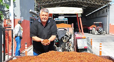 Üzüm alımına başlanan TMO önünde traktör kuyruğu