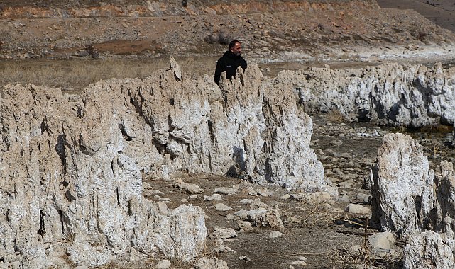 Van Gölü'ndeki dev mikrobiyalitlerin sırrı uluslararası ekiple araştırılacak