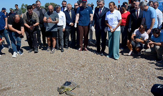 Yeşil deniz kaplumbağası 'Hanzala', uydu cihazıyla Akdeniz'e gönderildi