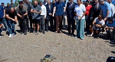 Yeşil deniz kaplumbağası 'Hanzala', uydu cihazıyla Akdeniz'e gönderildi