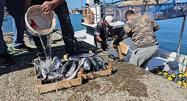 Zonguldak'ta balıkçılar 50 ton balıkla döndü