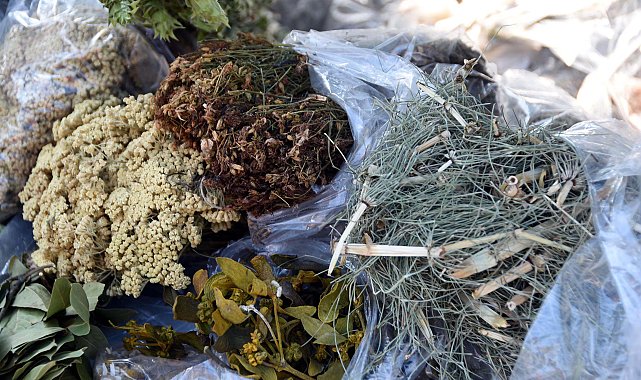 'En masumlarının bile vücudumuza toksik etkileri olabiliyor'