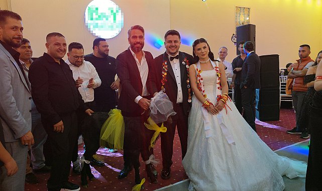 Adana'da düğünde gelin ve damada keçi hediye edildi