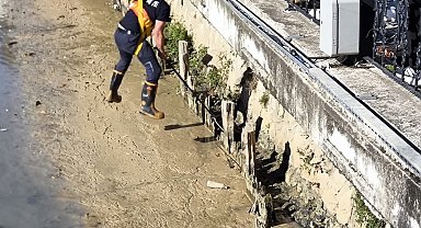 Balçıkla kaplı dere yatağında mahsur kalan kedileri itfaiyeciler kurtardı
