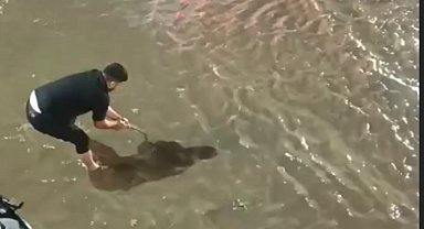 Batman'da sağanak hayatı olumsuz etkiledi
