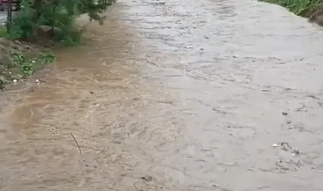 Bursa'daki bu derede taşkın alarmı!
