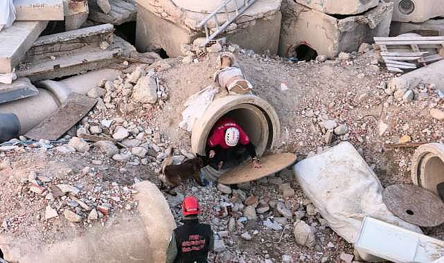 Bursa’daki enkaz alanına Türkiye’nin dört bir yanından geliyorlar