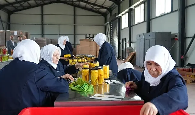 Bursa’nın verimli topraklarına kadın eli değdi