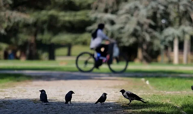 Bursalılar dikkat! Yeni haftada hava nasıl olacak?