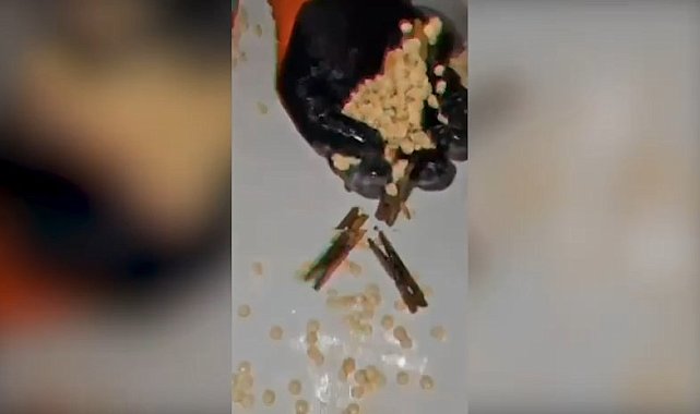 Evin tuvaletinde, çöp poşeti ve kovadan 14 bin 410 uyuşturucu hap çıktı