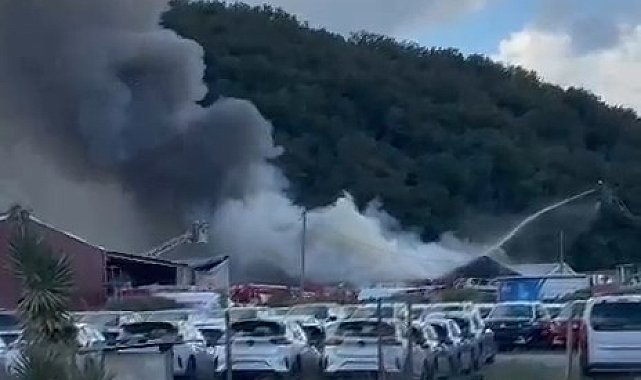 Eyüpsultan'da yediemin otoparkında yangın -1