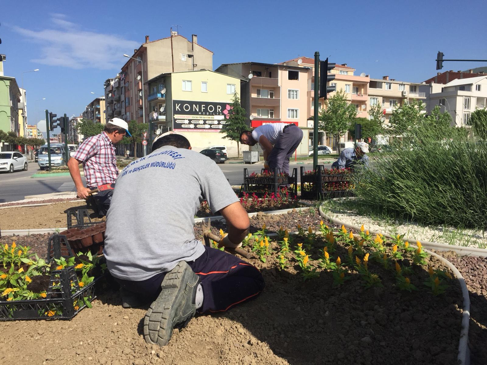 Gemlik'te Kavşak Ve Orta Refüjler Rengarenk