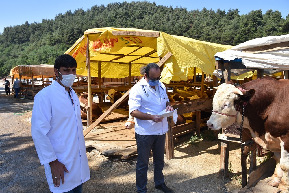 Gemlik'te Kurban Bayramı hazırlıkları tamamlandı
