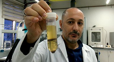 Hayvan yemi olarak kullanılan fındık posası, tüketilebilir protein kaynağına dönüşecek