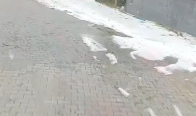 Kuvvetli yağış ve dolu nedeniyle tarım arazileri zarar gördü