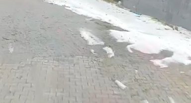 Kuvvetli yağış ve dolu nedeniyle tarım arazileri zarar gördü