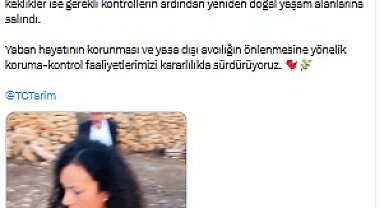 Mardin'de yasa dışı av denetimi; 22 kınalı keklik ele geçirildi