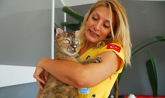 Orman yangınında vücudunun yüzde 40'ı yanan kedi 'Luna', yaşam savaşını kazandı