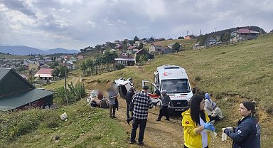 Sis Dağı Yaylası'nda kamyonet, uçuruma yuvarlandı: 1'i ağır 4 yaralı