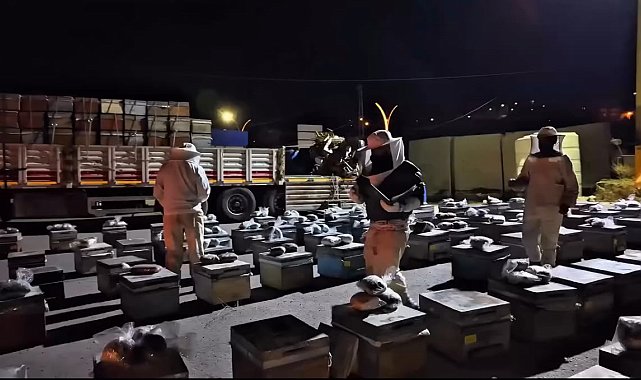 TIR'da arı kovanlarına gizlenmiş 91 kilo uyuşturucu ele geçirildi; 3 gözaltı