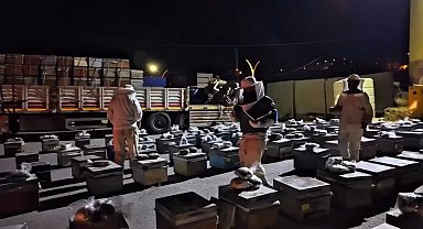 TIR'da arı kovanlarına gizlenmiş 91 kilo uyuşturucu ele geçirildi; 3 gözaltı