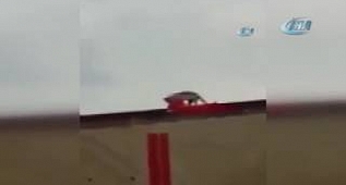 Bayrak açan kedi görenleri hayrete düşürdü!